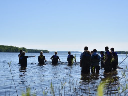 J&rsquo;adopte un cours d&rsquo;eau