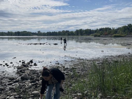 Nettoyage des berges